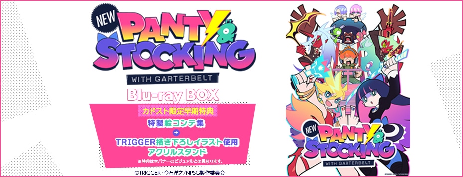 New PANTY & STOCKING with GARTERBELT