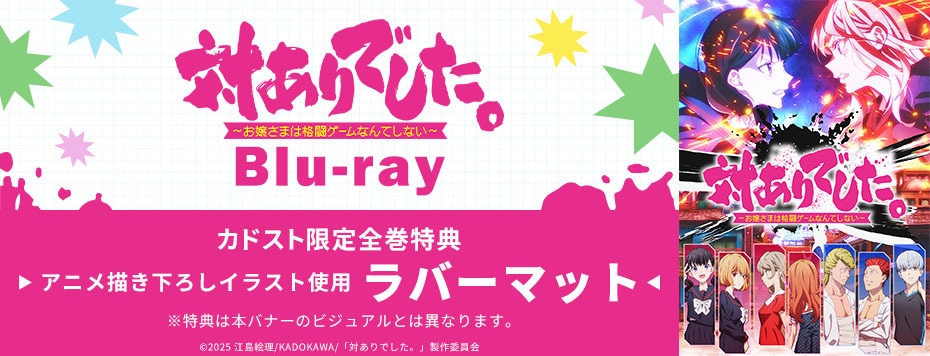 対ありでした。～お嬢さまは格闘ゲームなんてしない～