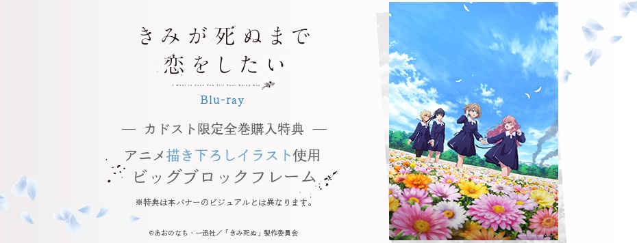 きみが死ぬまで恋をしたい
